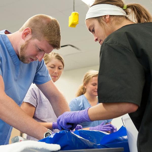 Student working on a cadaver in the lab
